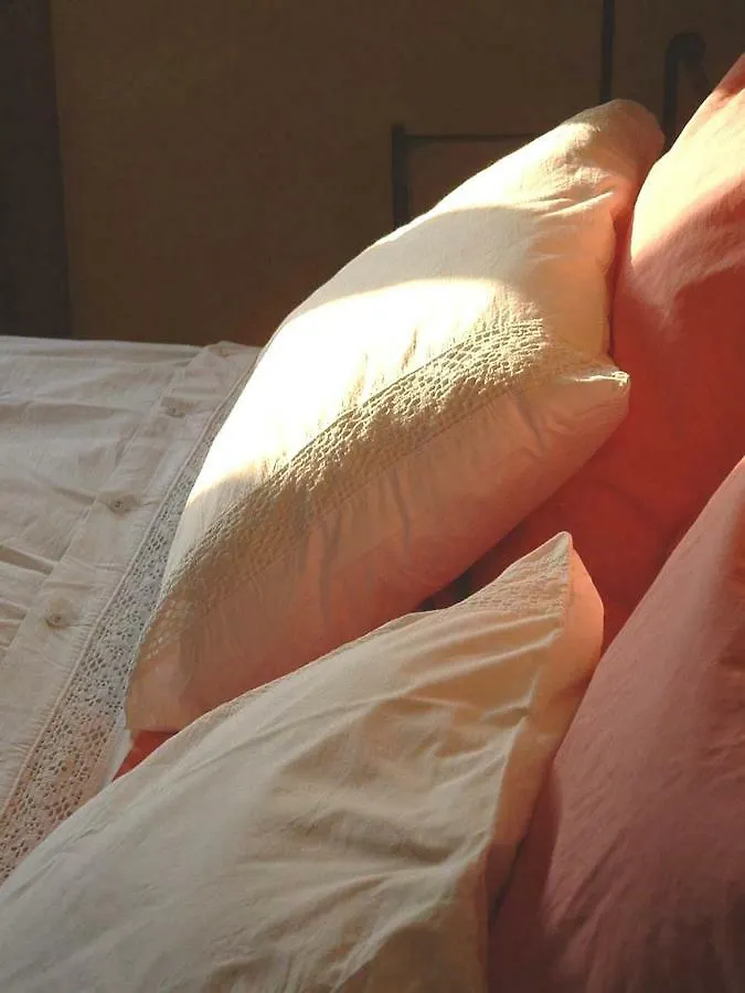 Gite La Grange Du Haut Saint-Antoine  Bed & Breakfast